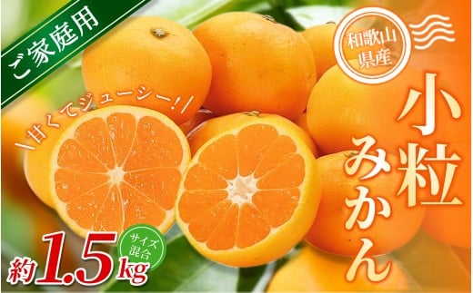 【家庭用】 森本農園の手選別 小粒みかん 約1.5kg 和歌山県産 【北海道・沖縄・離島配送不可】【2025年11月上旬〜2026年2月中旬ごろに順次発送】【BV-mrmt060】和歌山県かつらぎ町8000果物・フル