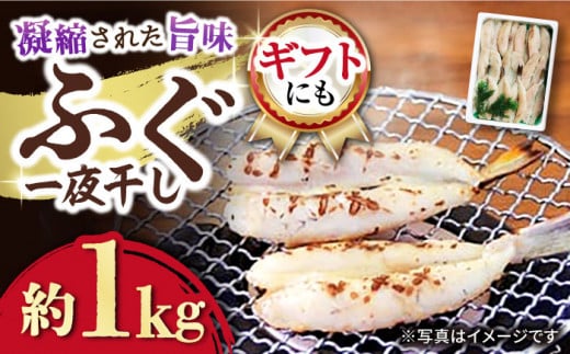 ӂ 銱 1kg / ӂ tO 銱 ͓  Ђ / 呺s / ЃiKXC[ACYQ003]茧呺s24000ECY