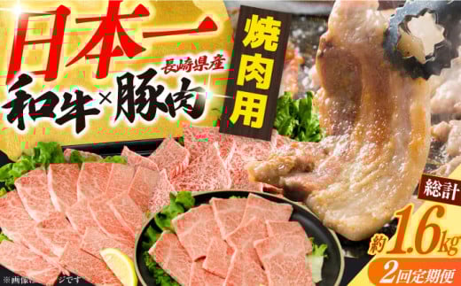 【2回定期便】長崎和牛&豚肉焼肉コース 総量1.6kg / 牛肉 モモ もも ロース ろーす 肩ロース カルビ かるび 豚肉 豚肉 豚ロース 豚バラ バラ ばら 焼肉 焼き肉 小分け 牛肉定期便 / 大村市 / お