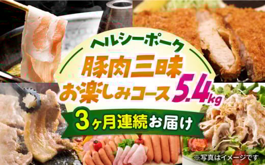 【5回定期便】ナルちゃんファーム 豚肉三昧お楽しみコース 総量5.4kg(豚肉しゃぶしゃぶ・スライス・焼肉・とんかつ計4kg ハムセット1.4kg)/ 豚肉 ロースハム ハム はむ ウインナー ういんな