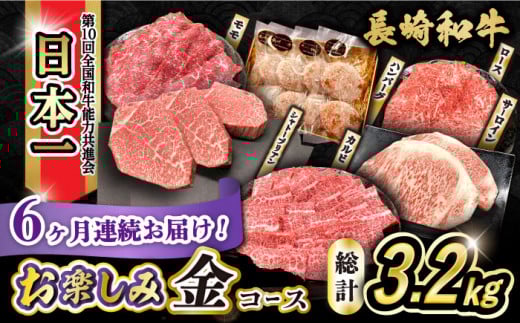 【6回定期便】長崎和牛お楽しみセット 金コース(シャトーブリアン・サーロインステーキ・長崎和牛入りハンバーグ・焼き肉用 カルビ・ロース・モモ) / 長崎和牛 和牛 牛肉 肉 / 大村市 /