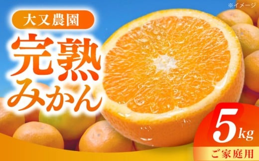 ys\E11ȍ~z݂ 5kg l 茧Y / k ݂  / 呺s 喔_[ACZO001]茧呺s13000ʕEt[c݂Ek