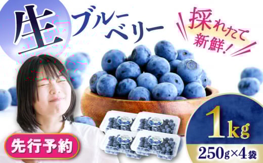 【2026年7月上旬頃より順次発送予定】生ブルーベリー 1kg(250g×4袋)/ ベリー べりー ブルーベリー ぶるーべりー 生 小分け 果物 くだもの フルーツ ふるーつ / 大村市 / おおむら夢ファームシ