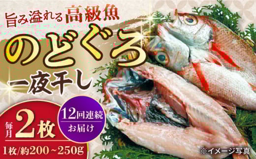 y12ցzԂނîǂj銱 200g`250g×2 / AJc Ԃނ ԃc ̂ǂ mhO 銱    Ђ / 呺s / iKXC [ACYQ061]茧呺s387000EC