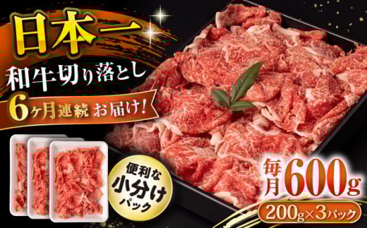 y6ցza ؂藎Ƃ 600g/iv3.6kgj /  ؂藎Ƃ ؂肨Ƃ 肨Ƃ Ă  / 呺s / ނ疲t@[VV [ACAA223]茧呺s98000