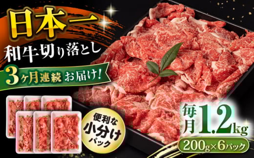 y3ցza ؂藎Ƃ 1.2kg/iv3.6kgj /  ؂藎Ƃ ؂肨Ƃ 肨Ƃ Ă  / 呺s / ނ疲t@[VV [ACAA234]茧呺s88000