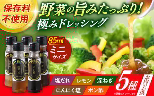 ́uɂ݁vhbVO~j 85ml×5{Zbg ̂ɃZbg / hbVO  T_ / 呺s / ނ疲t@[VV [ACAA403]茧呺s9000EhbVO