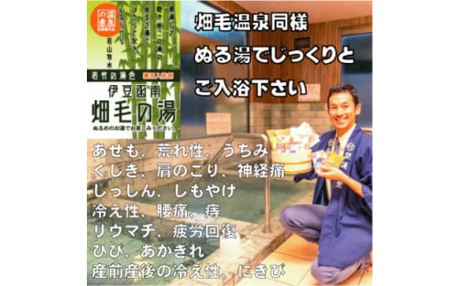 <薬用入浴剤>伊豆函南畑毛の湯:畑毛温泉の成分そのままの「温泉の素」若竹の湯色10回分【1380547】静岡県函南町5000雑貨・日用品バス・洗面用品