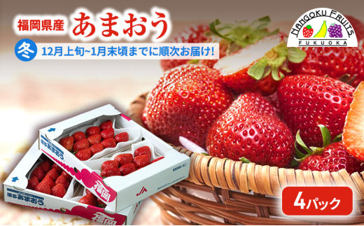 y~zY܂4pbN    C`S t[c ʕ zs:品20500ʕEt[c