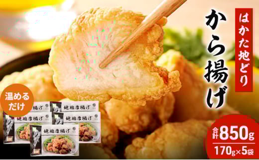 はかた地どり から揚げ 5セット 温めるだけ 唐揚げ 鶏肉 お肉 レンジ 調理 ※配送不可:離島福岡県大刀洗町12000肉鶏肉