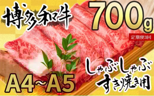  3  ʌ a A4`A5 Ԃ Ă Zbg 700g 3 zsF品43000ZbgE؁EHHiJ[EV`[