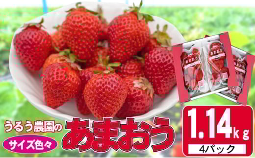 いちご 2025年12月より発送 うるう農園のあまおう サイズ色々4パック 約1.14kg 果物 フルーツ デザート 食後 特別栽培 福岡県産 国産 日本産 ※配送不可:離島福岡県大刀洗町12000果物・フルー