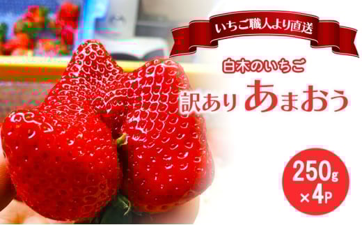 訳あり いちご いちご職人 白木のいちご あまおう ふぞろいな「いちご」たち 250g×4P 訳アリ イチゴ 苺 果物 デザート ※配送不可:沖縄・離島福岡県大刀洗町15000果物・フルーツいちご