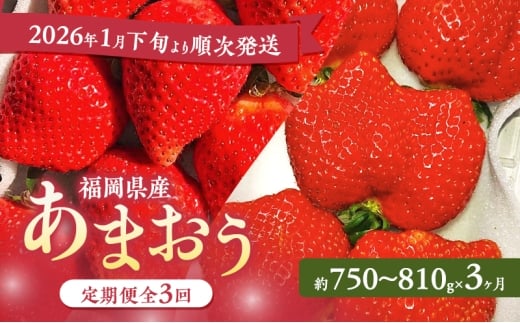 あまおう 定期便 3回 【2026年1月下旬より順次発送】【3ヶ月定期便】あまおう 3パック×3回 イチゴ 苺 いちご 果物 福岡県産 ※配送不可:離島福岡県大刀洗町36500果物・フルーツいちご