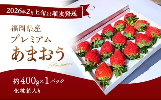 ܂ y2026N2{菇zϔ v~A܂ 400g×1pbN yMtgEjEpz C`S   ʕ Y zs:品13500