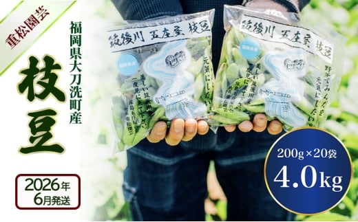 枝豆 【2026年6月発送】枝豆200g×20袋 合計4kg 福岡県大刀洗町産 豆 えだまめ 焼き枝豆 お弁当 おつまみ ※配送不可:北海道・沖縄・離島福岡県大刀洗町21500野菜・きのこ豆類