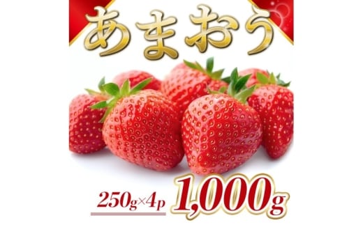 苺 福岡県産 あまおう 1000g(4パック) 先行予約 発送予定:2026年2月より順次発送 いちご イチゴ 果物 ※配送不可:離島福岡県大刀洗町15000果物・フルーツいちご