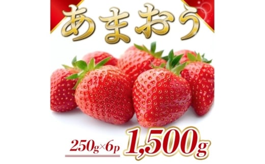 苺 福岡県産 あまおう 1500g(6パック) 先行予約 発送予定:2026年2月より順次発送 いちご イチゴ 果物 ※配送不可:離島福岡県大刀洗町19000果物・フルーツいちご
