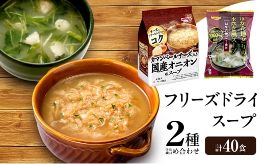 スープ 2種のスープ (オニオン・水炊き) 各20食 計40食 フリーズドライ福岡県大刀洗町19000肉鶏肉