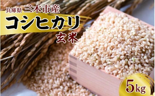 三木市産コシヒカリ「玄米」 5kg兵庫県8000米・パン玄米・雑穀米・もち米・餅