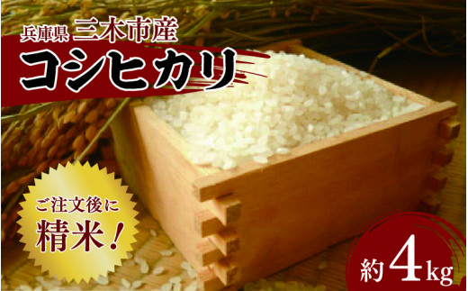 三木市産コシヒカリ「精米」 4.5kg程度 注文後に精米してお届け兵庫県8000米・パン白米