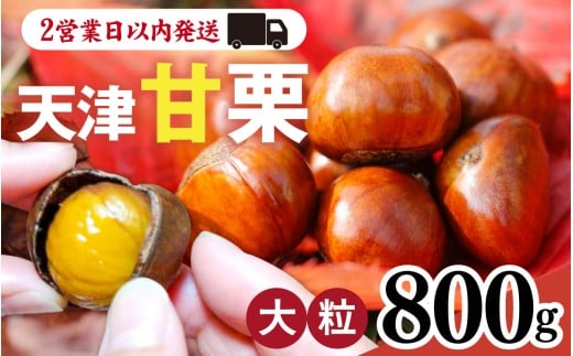 VÊÌI 800g ^ Ă I  } H  I kt َq ܂ lC s[g  I IƂ ØI  y ߂ Ɍ5000ʕEt[c