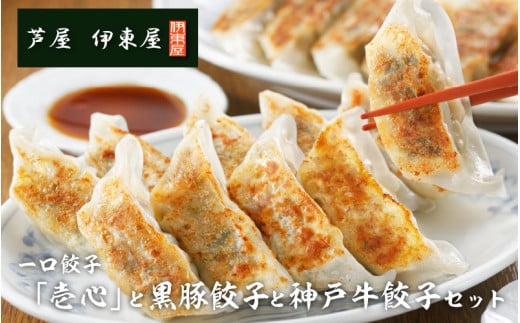  LquSvƍLqƐ_ˋLqZbg 1.2kg 66 ^ lC  Zbg 傤 Lq  ؗ Ⓚ ⓀLq ȒP MEU  ` W[V[ Y 
