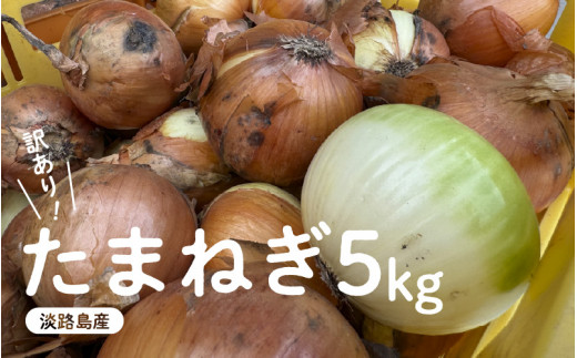 󂠂 ܂˂ 5kg WH t[hX SDGs y s TCY  ~bNX S M L 2L ʂ˂ ^}lM IjI XCX T_ no[O Ⴊ ē  BBQ X[v X` Yn
