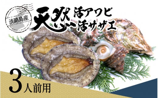 天然活アワビ・活サザエセット(3人前用)淡路島産兵庫県44000魚介・海産物貝類
