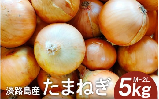 淡路島産たまねぎ 5kg入り箱 / 玉葱 玉ねぎ タマネギ 5キロ オニオン バーベキュー サラダ 焼き肉 スープ 国産 野菜兵庫県7000野菜・きのこ玉ねぎ・ねぎ