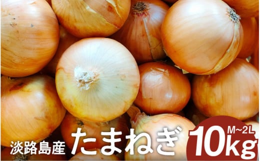 淡路島産たまねぎ 10kg入り箱 / 玉葱 玉ねぎ タマネギ 10キロ オニオン バーベキュー サラダ 焼き肉 スープ 国産 野菜兵庫県13000野菜・きのこ玉ねぎ・ねぎ