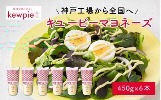 L[s[}l[Y 450g x 6{ (L[s[_ˍH)Ɍ12000EhbVO