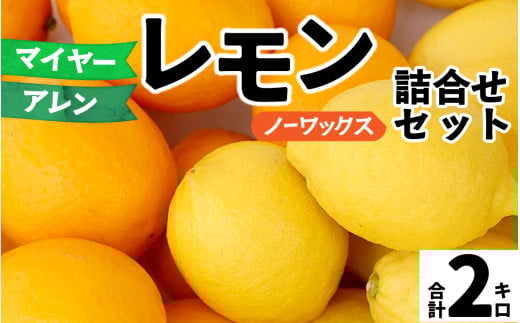 【先行予約】淡路島産 アレン・ユーレカレモン&マイヤーレモン 詰め合わせセット 2kg 国産レモン 淡路島 瀬戸内レモン 檸檬 lemon 柑橘 レモネード  レモンサワー【 2025年10月中旬より順次発