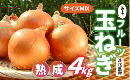 y 6{菇\ znt[cʂ˂4kgyTCYFXz / ʂ˂ ^}lM WH̋ʂ˂ ʔK J[ V`[ o[xL[  ۑ X[v T_ lC   s