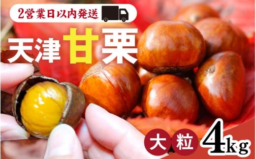 VÊÌI 4kg  ^ Ă I  } H  I kt َq ܂ lC s[g  I IƂ ØI  y ߂ Ɍ18000ʕEt[