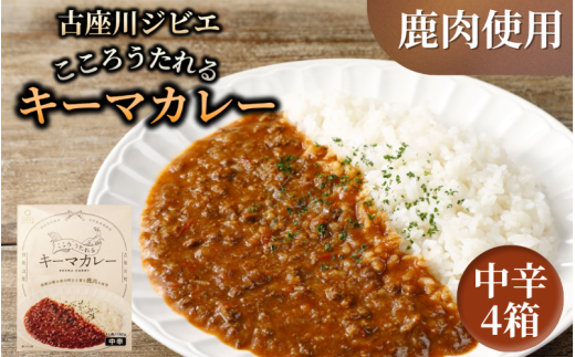 古座川ジビエ こころうたれるキーマカレー4箱セット(160g×4個)【gbe108】和歌山県古座川町11000鍋セット・総菜・加工食品総菜