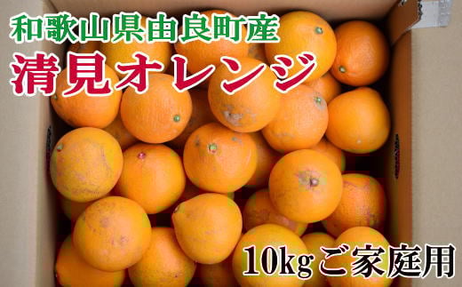 【訳あり・ご家庭用】和歌山由良町産の濃厚清見オレンジ約10kg ※2026年2月中旬〜2026年2月下旬頃(お届け日指定不可)【tec877A】和歌山県古座川町16000果物・フルーツみかん・柑橘類