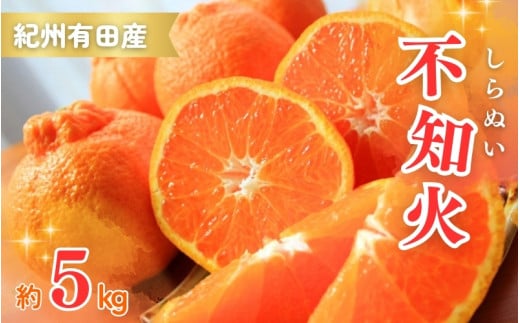 紀州有田産不知火(しらぬひ) 約5kg <2026年2月中旬頃〜2026年3月中旬頃発送>(お届け日指定不可)【uot709A】和歌山県古座川町16000果物・フルーツみかん・柑橘類