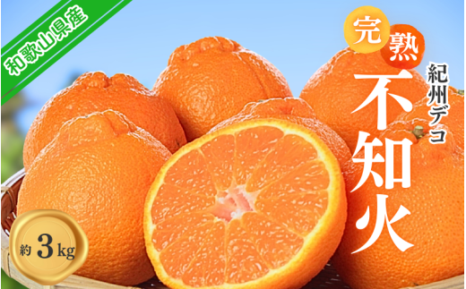 果肉プリプリ♪ 完熟紀州デコ(不知火) 約3kg デコポンと同品種 <2026年2月下旬頃〜2026年3月中旬頃発送> / 不知火 しらぬい デコポン みかん 柑橘 フルーツ 果物 和歌山県産【uot706A】和歌山