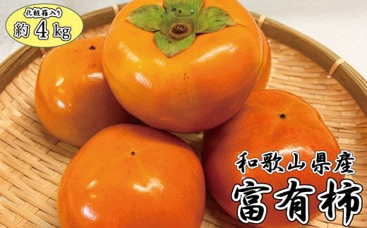 和歌山秋の味覚 富有柿 約4kg 化粧箱入 ※2025年11月上旬頃〜2025年12月上旬頃発送予定(お届け日指定不可)【uot703】和歌山県古座川町19000果物・フルーツその他 果物・フルーツ