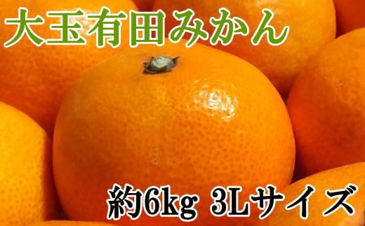 [Gi]a̎RLc݂@6kg(3LTCY) 2025N11{`2026N1{ytec836za̎RÍ쒬10000ʕEt[c݂Ek