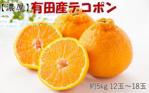 【お味濃厚】紀州有田産の大玉デコポン約5kg(12玉〜18玉入り・青秀以上)※2026年1月中旬〜2026年3月中旬頃順次発送【tec811B】和歌山県古座川町23000果物・フルーツみかん・柑橘類