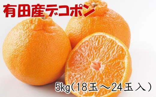 【お味濃厚】紀州有田産のデコポン約5kg(18玉〜24玉入り・青秀以上) ※2026年2月中旬〜2026年3月中旬頃順次発送【tec810B】和歌山県古座川町21000果物・フルーツみかん・柑橘類