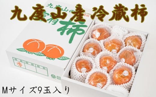 【まごころ栽培】九度山の冷蔵富有柿Mサイズ9玉入り<2026年1月下旬〜2026年2月中旬頃に順次発送>【tec412A】和歌山県古座川町17000果物・フルーツその他 果物・フルーツ