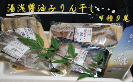 和歌山の近海でとれた新鮮魚の湯浅醤油みりん干し4品種9尾入りの詰め合わせ 【tec200A】和歌山県古座川町12000魚介・海産物干物