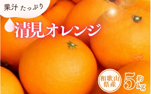 清見オレンジ約5kg/果実サイズおまかせ ※2026年2月中旬〜2026年4月下旬頃に発送予定 紀伊国屋文左衛門本舗【kztb400B】和歌山県古座川町18000果物・フルーツみかん・柑橘類