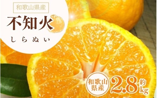 デコ不知火(デコポン) 約2.8kg/サイズおまかせ ※2026年2月上旬〜2026年4月上旬頃に順次発送予定(お届け日指定不可) / 不知火 しらぬいデ コポン みかん 柑橘フ ルーツ 果物 和歌山県産 古座