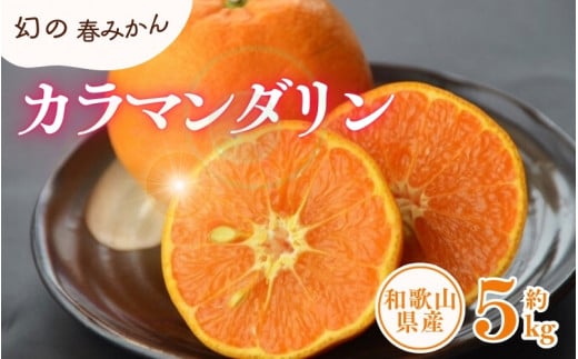 カラマンダリン 約5kg/サイズおまかせ ※2026年4月上旬〜2026年5月上旬頃に順次発送予定(お届け日指定不可) 紀伊国屋文左衛門本舗【kztb470A】和歌山県古座川町21000果物・フルーツみかん・柑