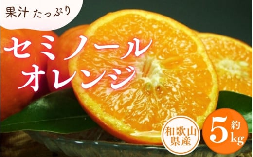 セミノールオレンジ 約5kg/サイズおまかせ ※2026年4月中旬〜2026年5月下旬頃に順次発送予定(お届け日指定不可) 紀伊国屋文左衛門本舗【kztb481B】和歌山県古座川町16000果物・フルーツみかん