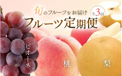 【3か月定期便】和歌山産フルーツ定期便!人気の桃・梨・ピオーネ 旬のフルーツを毎月お届け♪【tkb114】和歌山県古座川町54000果物・フルーツその他 果物・フルーツ